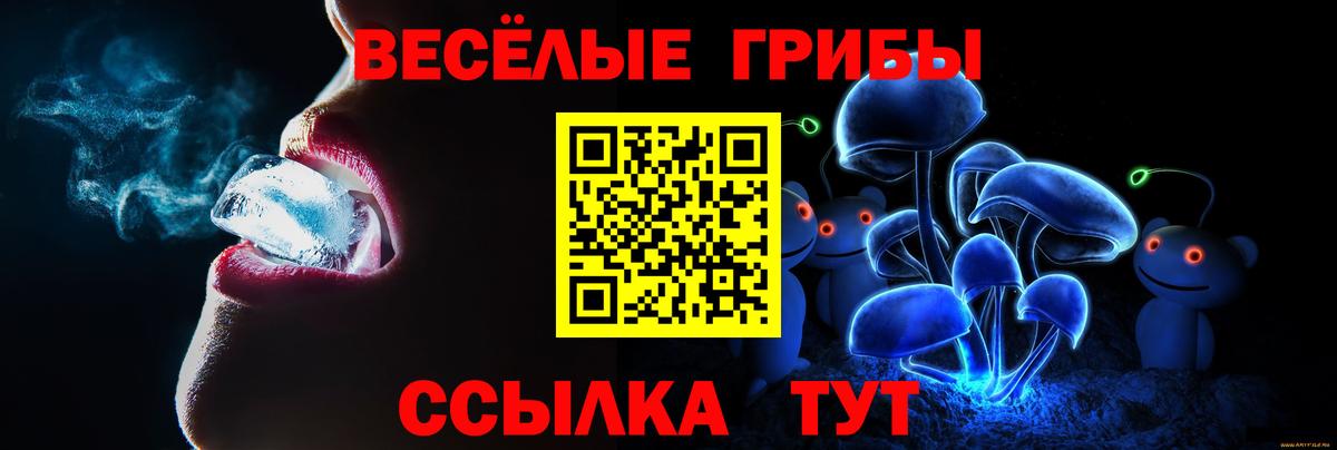 Гатчина  Псилоцибиновые грибы Magic Shrooms  Вход с VPN  Псилоцибиновые грибы прущие грибы 