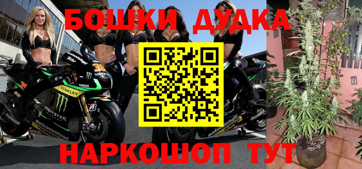 Марихуана ГИДРОПОН  Бошки Шишки White Widow  Гатчина  МАРИХУАНА конопля  Вход с VPN 